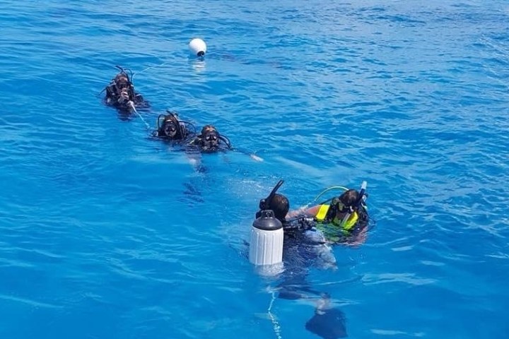 a group of people swimming in a pool of water