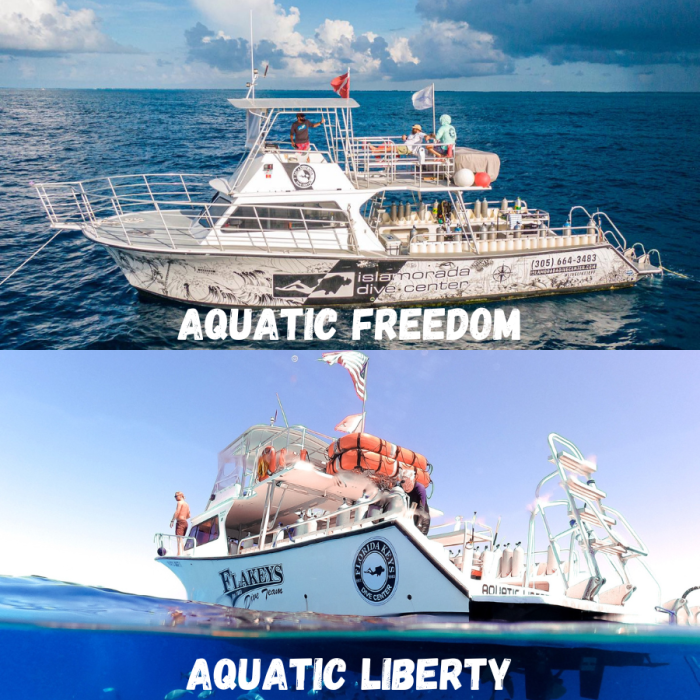 Private Charter Trip Islamorada Dive Center, Florida