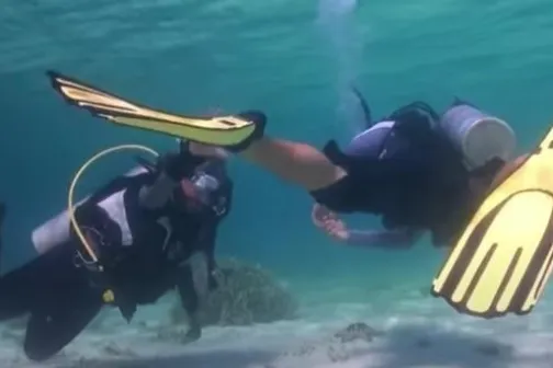a person swimming in a body of water