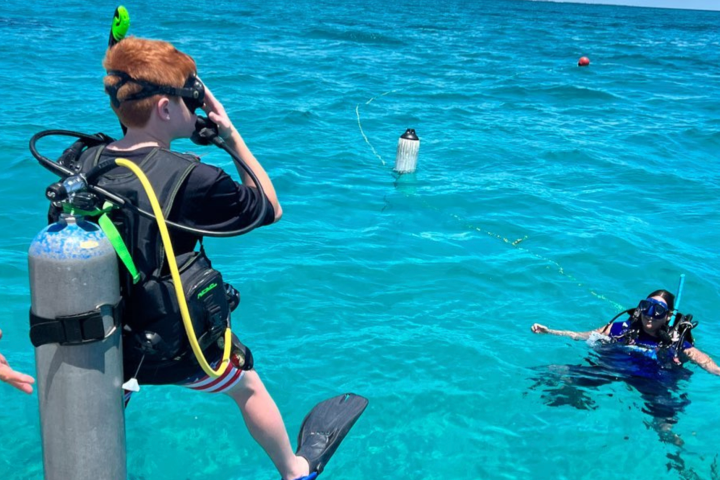 people swimming in a body of water
