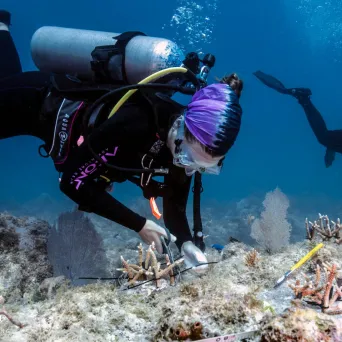 a man flying through the air while riding skis